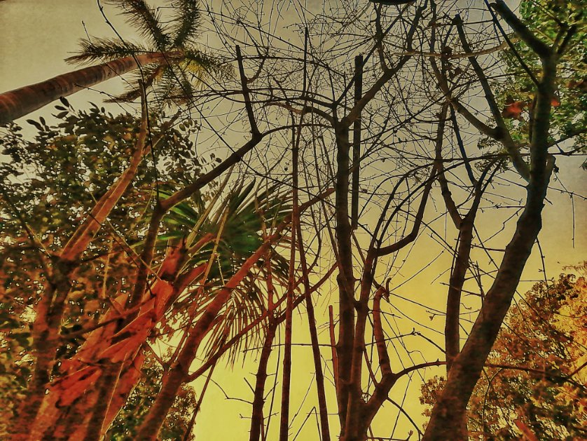SoOverthiis's tweet photo. To my imperfect pictures and attempts to play with colours ✨ https://t.co/gzrtRUkt1Z