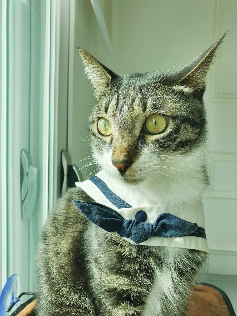 잘 나온것도 추가~