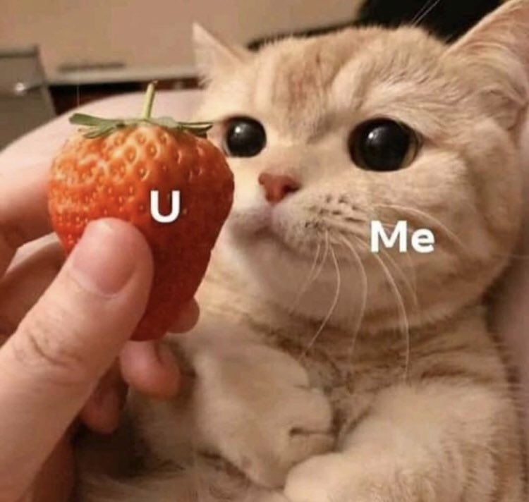 RespectfulMemes's tweet photo. https://t.co/M9CAWsYyfO