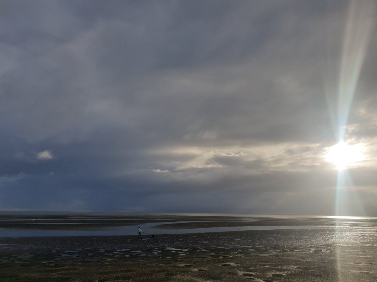 Patrick Condren tweet media