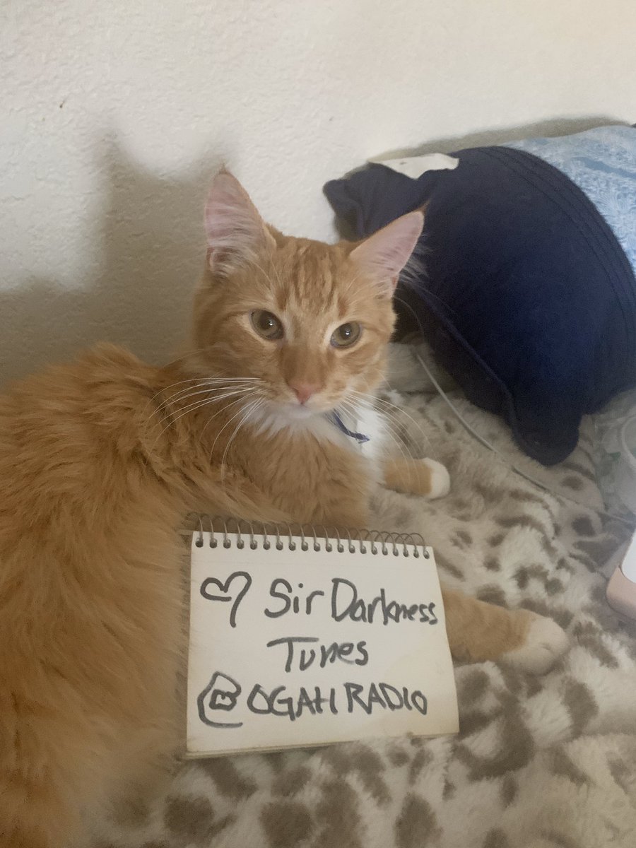 SIR DARKNESS ON AIR @ogahradio all the kitties love it!!! Come #tunein TuneIn I'm listening to <a href="/OGAHRadio/">OGAHRadio</a> on @TuneIn. #NowPlaying tun.in/se88u