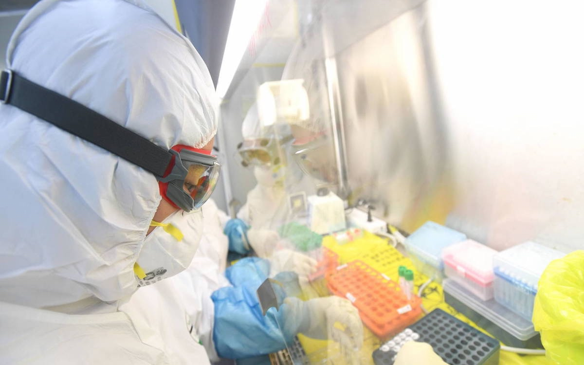 mercadorevista's tweet photo. Vacunas contra el COVID-19 empiezan la fase de desarrollo clínico 💉

https://t.co/NyVW0ztjpk

#RevistaMercado https://t.co/g6NP6fuJky