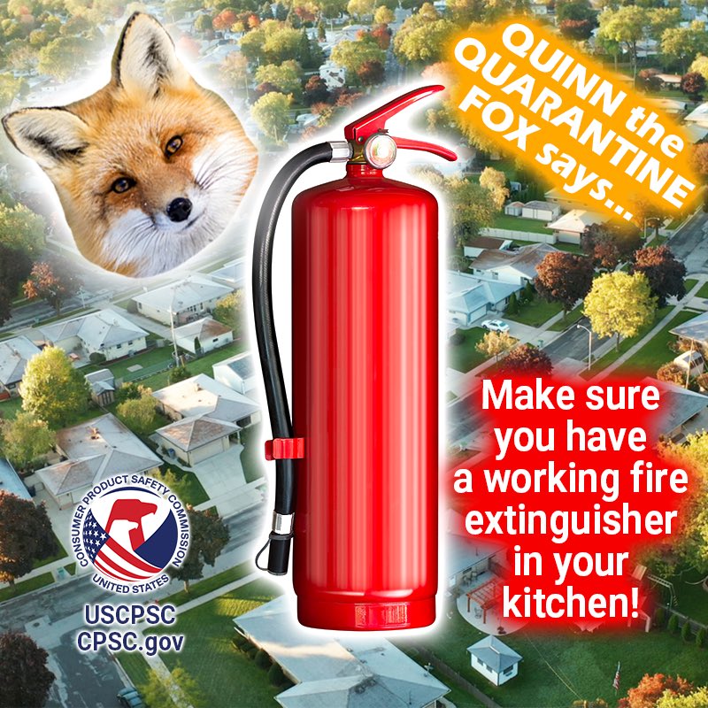 A picture of the suburbs with  the face of a fox floating over it. The text reads Quinn the quarantine fox says make sure you have a working fire extinguisher in your kitchen.