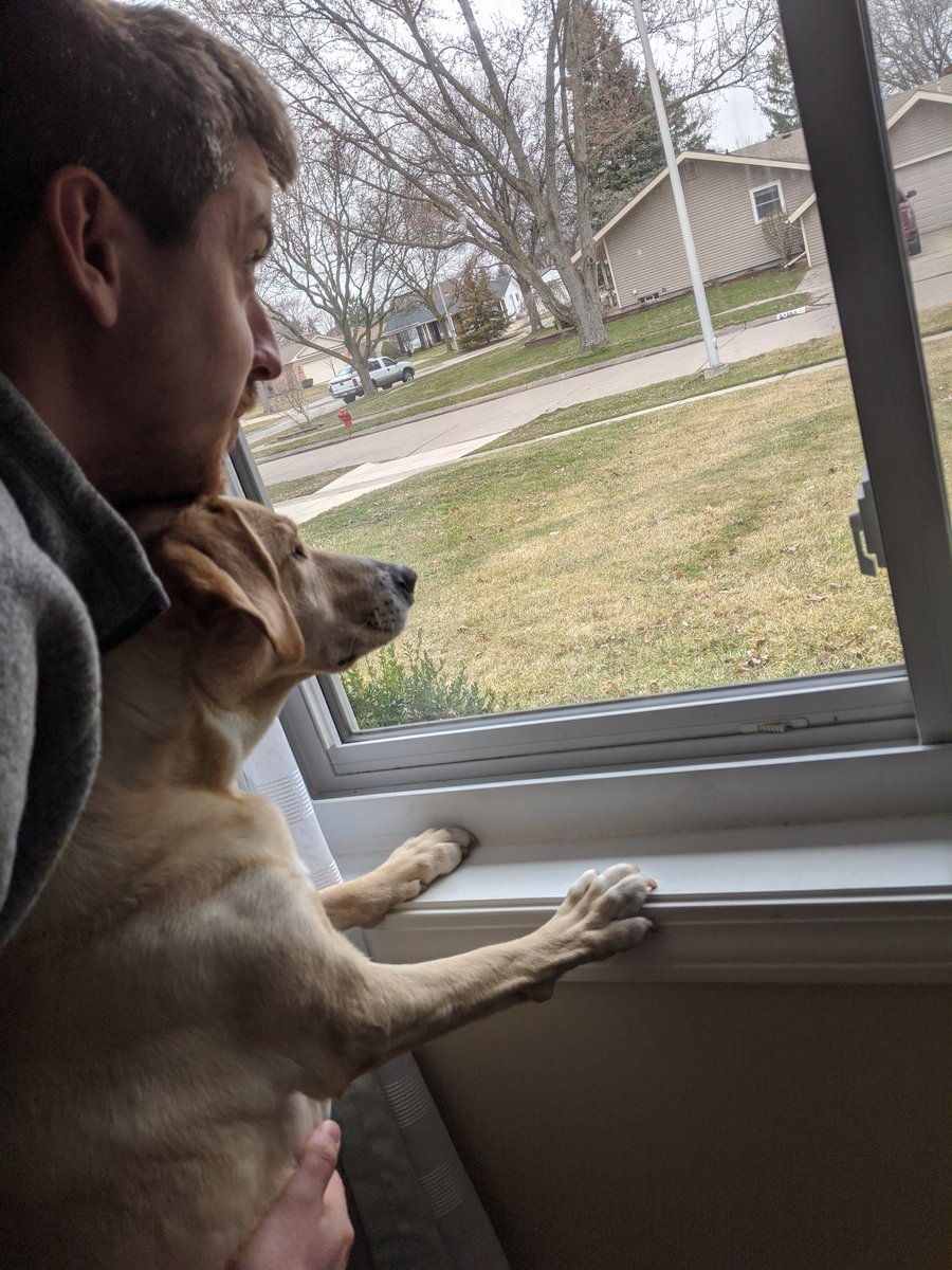 KellyZelinski's tweet photo. @Andrew_Zelinski We have been watching the 2 ducks in our yard 😂 Mya loves them. https://t.co/JQQv9FnC7T