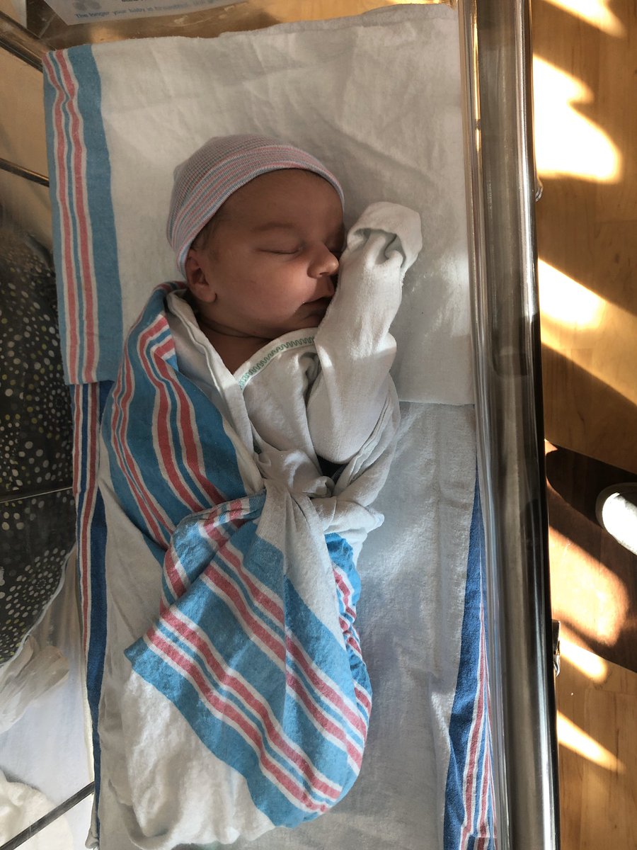 Herb Peluzzo, Ed.D. tweet media