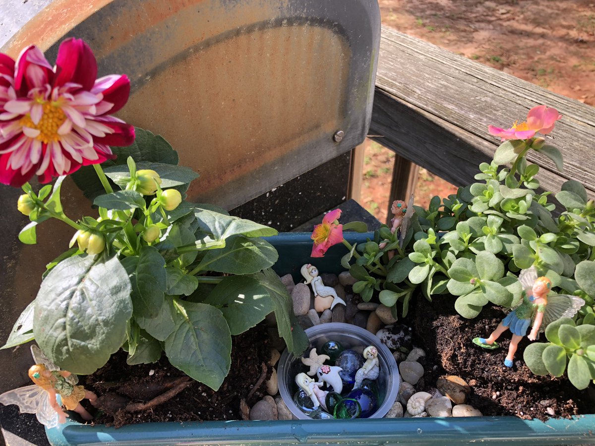 Year 2 of making our own fairy garden. So fun!