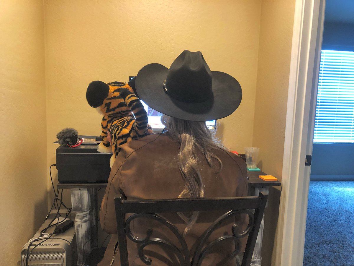 wildwestbham's tweet photo. Just had a very successful @zoom_us meeting with my @YourLifeArizona  @azfamily team. I think they were a little shocked to see Joe Exotic and his tiger in the meeting! 🤠🐅 #tigerking #joeexotic https://t.co/FCTzaZXRhJ