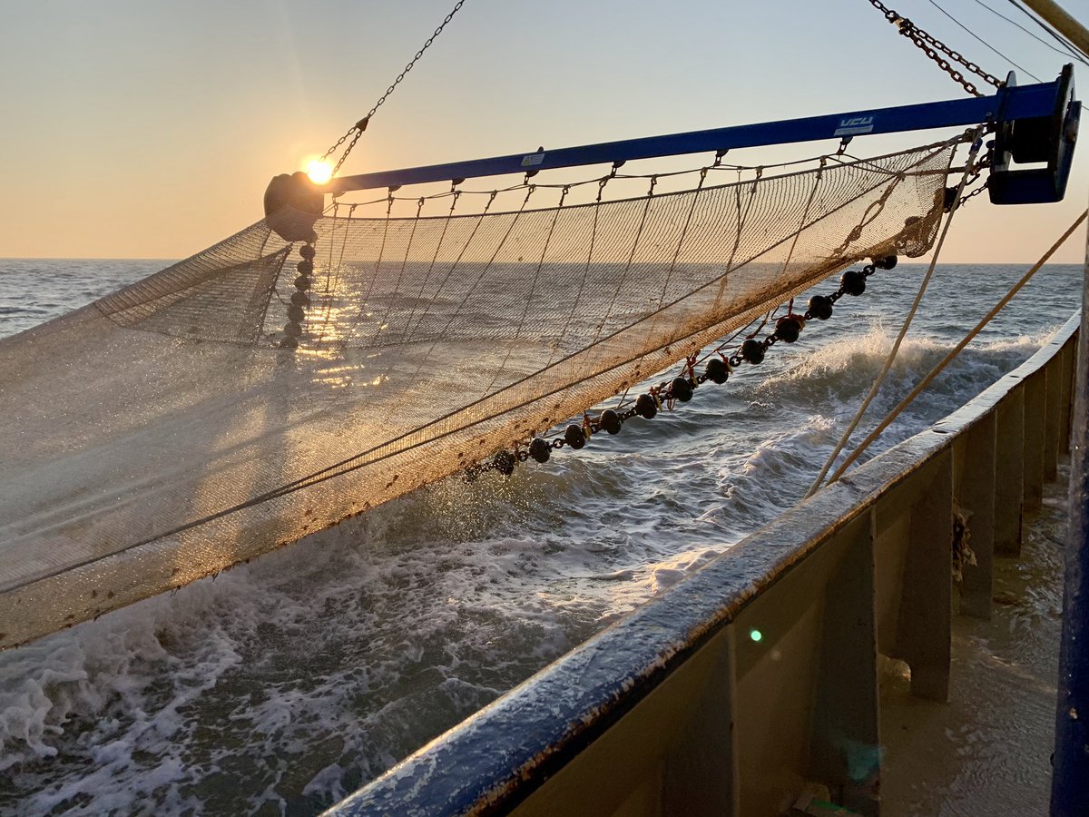 Proefvaart van de Jonge Johannes LT 295 [video’s] - Visserij.nl