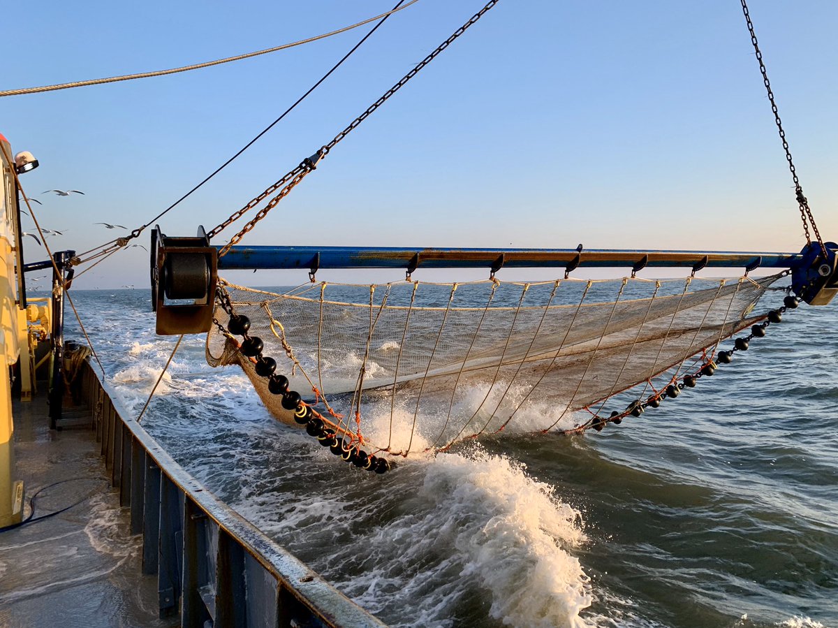Proefvaart van de Jonge Johannes LT 295 [video’s] - Visserij.nl