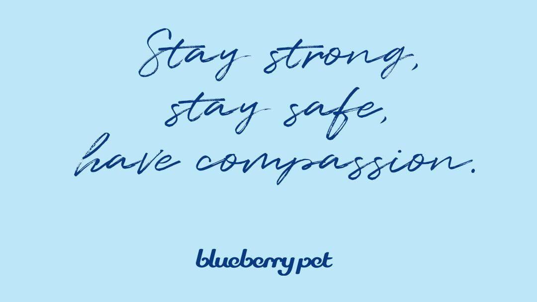 BlueberryPet's tweet photo. Friends, we know that it is a difficult time and our hearts go out to those who have been affected by COVID-19. We hope that all of you are staying safe and we believe that together, we can overcome the suffering COVID-19 has brought to our lives. #COVID19 #StayHome #staysafe https://t.co/6jYVoDFZ8x