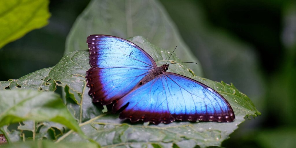 GreatGuides tweet media