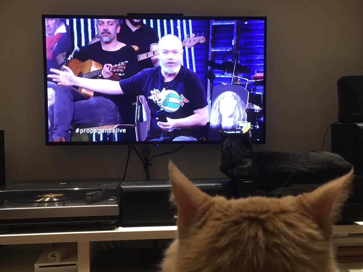 GioReynaud's tweet photo. #propagandalive con i gatti assorti. Grazie @zdizoro @MarcoDamilan @makkox e tutti gli altri https://t.co/McR33dyPQ1