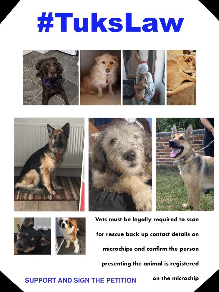 scanme_tukslaw's tweet photo. @bexxyd TY for supporting us. Sadly these rescue dogs were euthanised whilst having rescue back up registered on their microchips. We met with @RCVSpresident + @ZacGoldsmith but we know not enough is being done to raise awareness of dual registration+to confirm keeper details before PTS https://t.co/rQbL6yS6YH