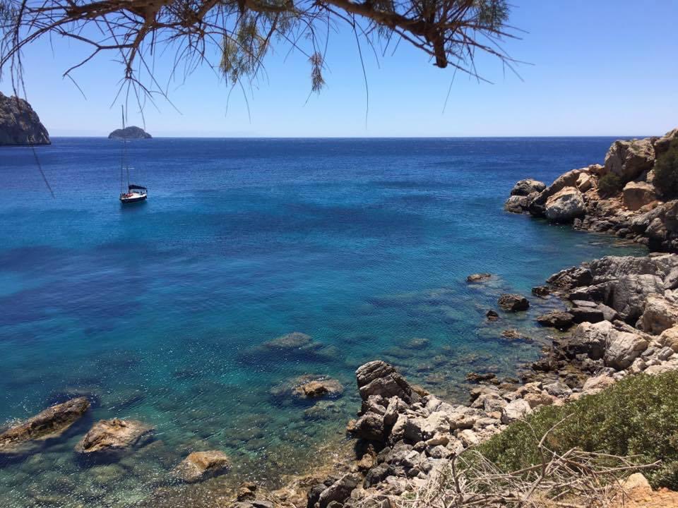 Alexander Thomopulos tweet media