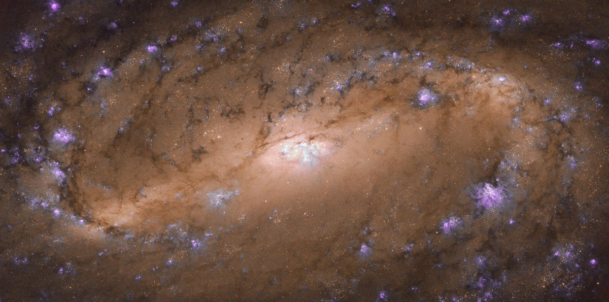 The galaxy NGC 2903 in the constellation Leo. Pretty good galaxy.Image: ESA/Hubble & NASA, L. Ho et al.