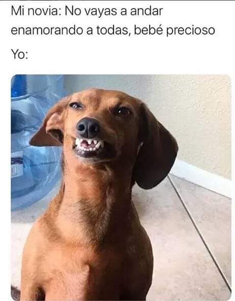 madeforce's tweet image. M.A