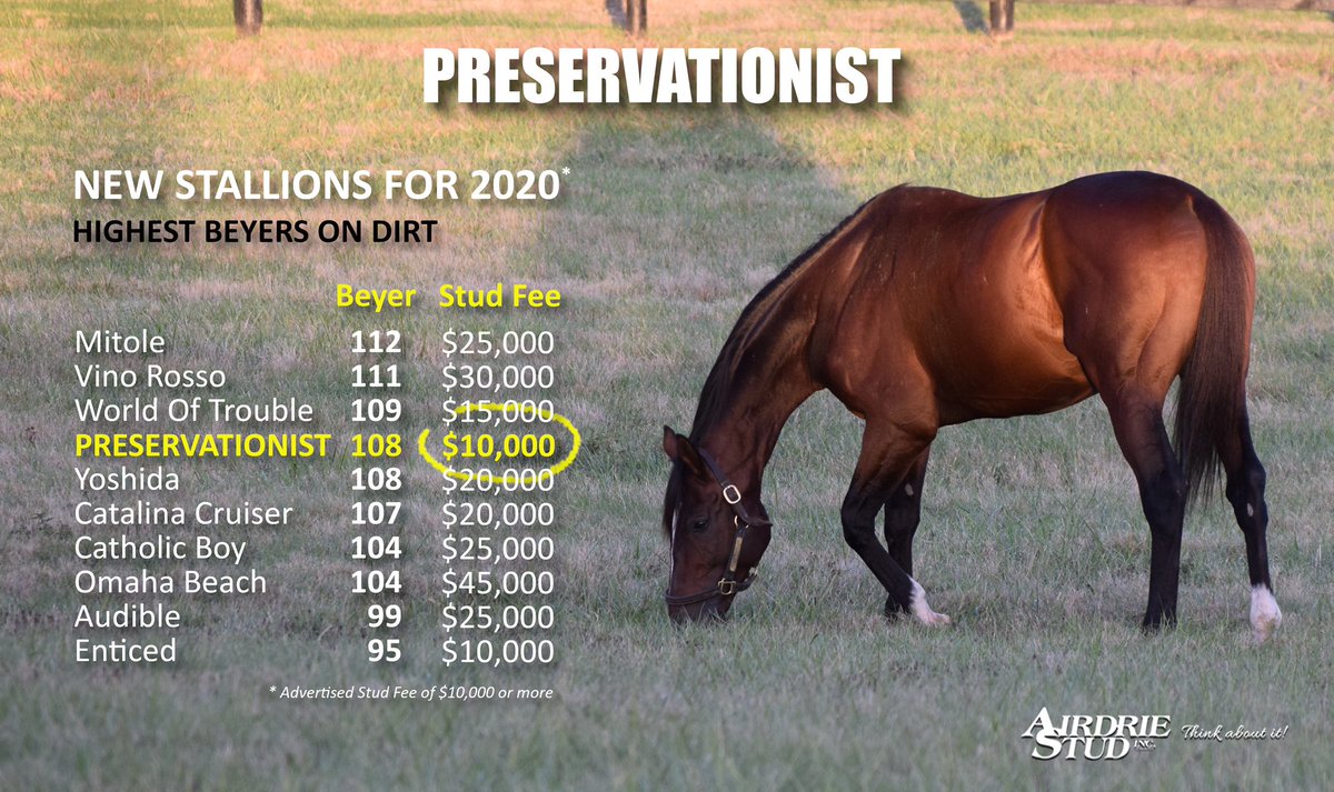 AirdrieStud's tweet photo. Congratulations to @clementstable who scored win #2,000 with the highly promising #Gufo, a half-brother to millionaire #Hogy, @GulfstreamPark . Their dam, Floy, is in foal to #Preservationist @Centennial_Farm https://t.co/JJl5T8BXJE