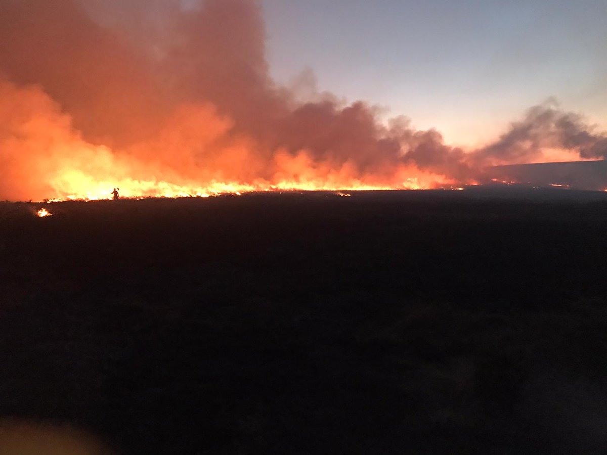 AmmanfordFire's tweet photo. We have spent a vast majority of this week attending wildfires in the Ammanford area. Please refrain from burning during this respiratory pandemic as it’s a huge drain on our resources and prevents us from helping the people that really need us!🔥🚒 #staysafe @mawwfire @ArsonMaww https://t.co/2njRLKPxpd