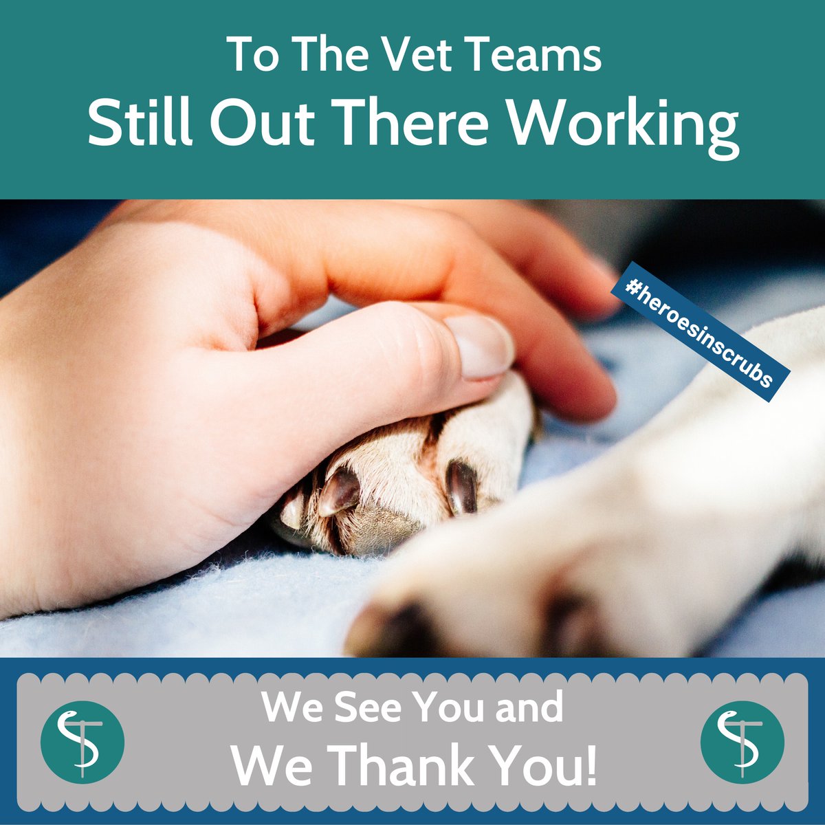 VetTechPrep's tweet photo. To The Vet Teams Out There Working...

We See YOU and We Thank You!

#HeroesInScrubs

#Veterinary #VetTech #VetTechPrep #VetTechSchool #VetTechStudent #VetTechMed https://t.co/6Kswwm5l2Z