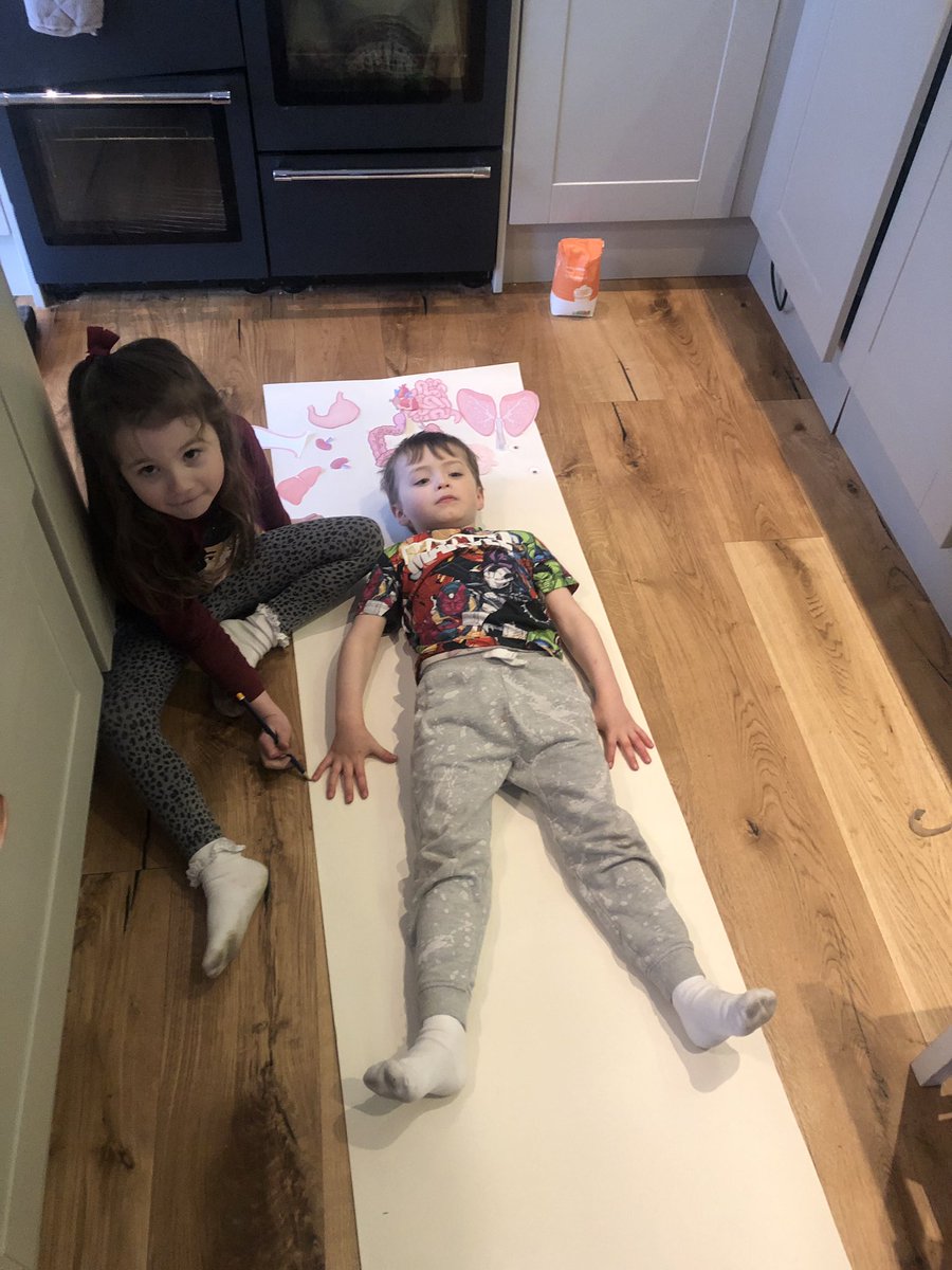 nicfit7's tweet photo. @StFillansPS Amelie enjoyed learning a bit about the body today https://t.co/7s0DFzrWqL