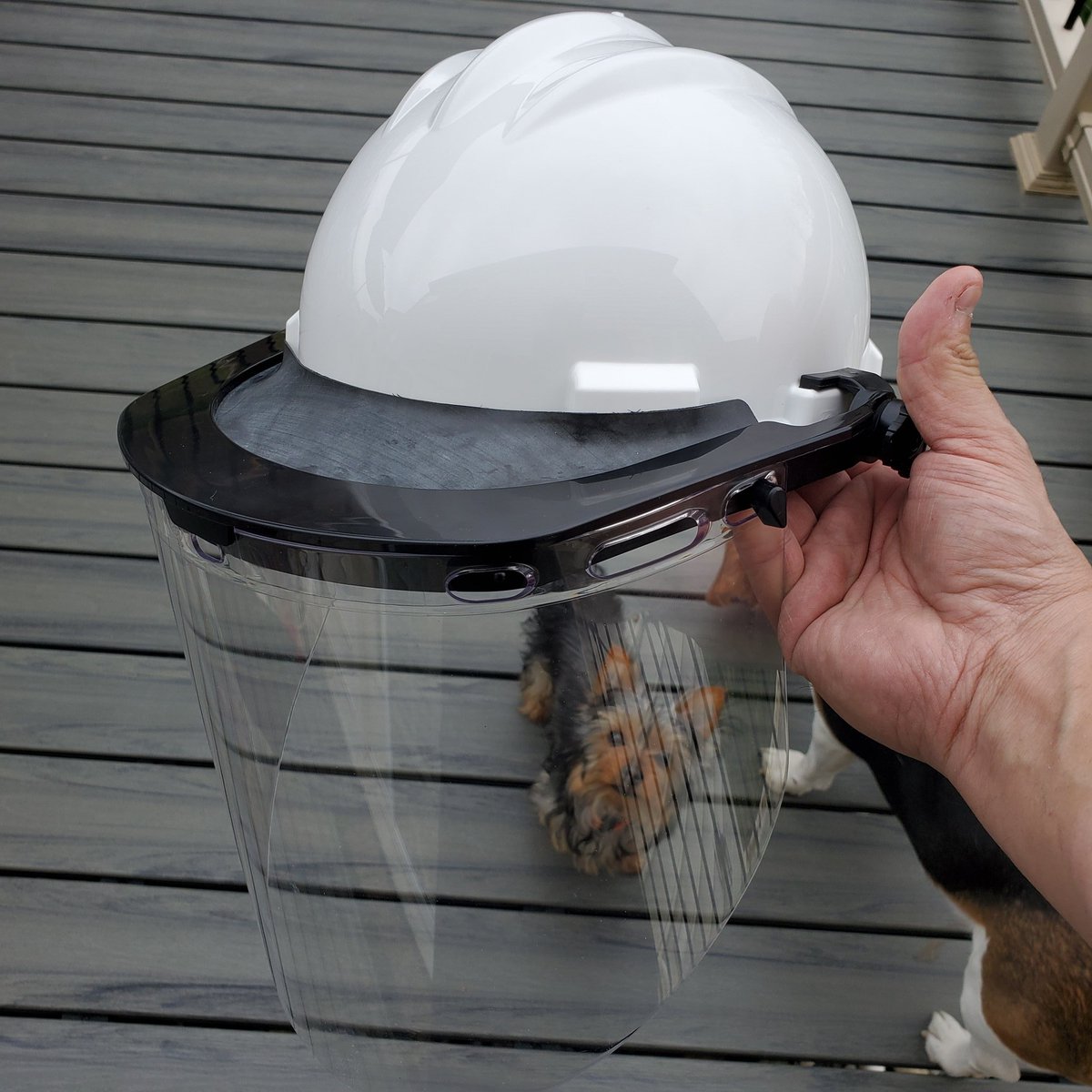 bonjo30's tweet photo. Titus inspecting the #PPE, I think he approves #ppehacks https://t.co/yHYaZLEzVZ