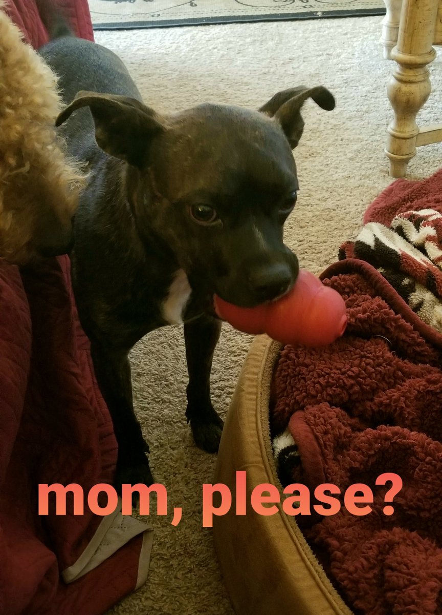Refill mom!!!