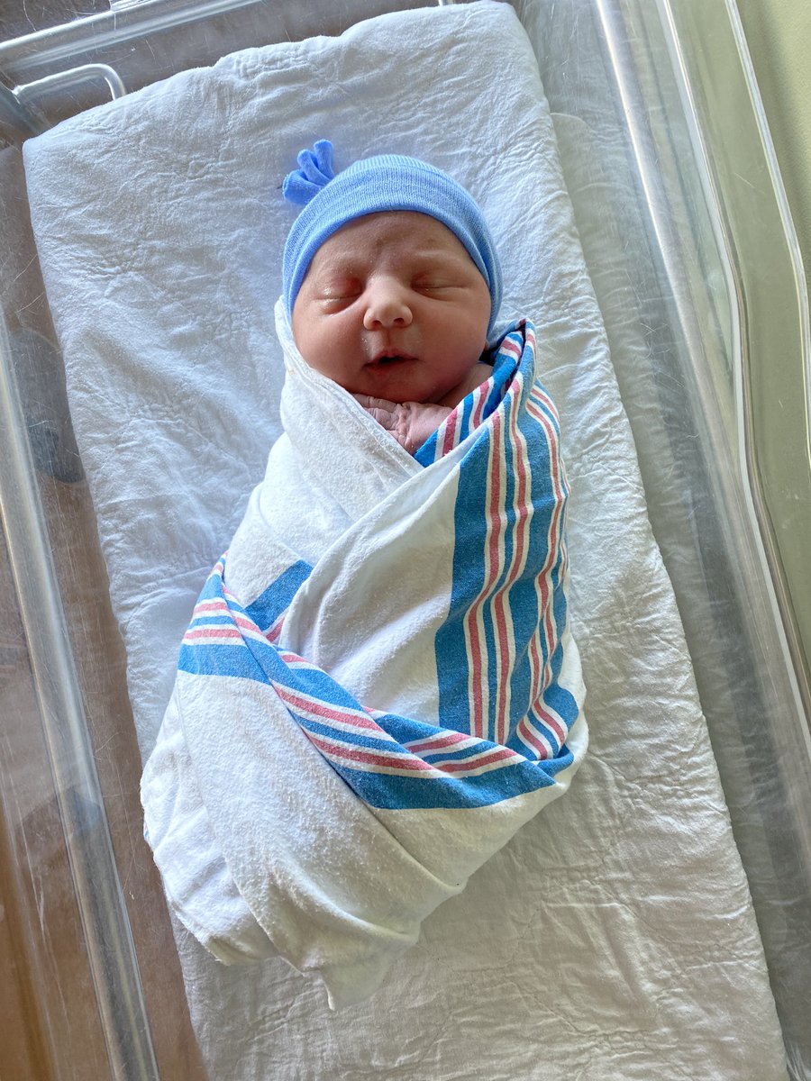 EricSoufer's tweet image. I hope I can brighten everyone’s day just a little bit by introducing the world to Ethan Soufer!