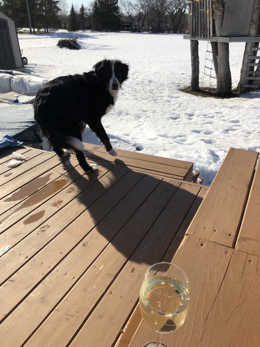 PamelaA91823184's tweet photo. #Friday #DeckDay https://t.co/KNltG8b7x2