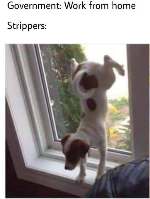 LoL yeah https://t.co/yPGKIidELz