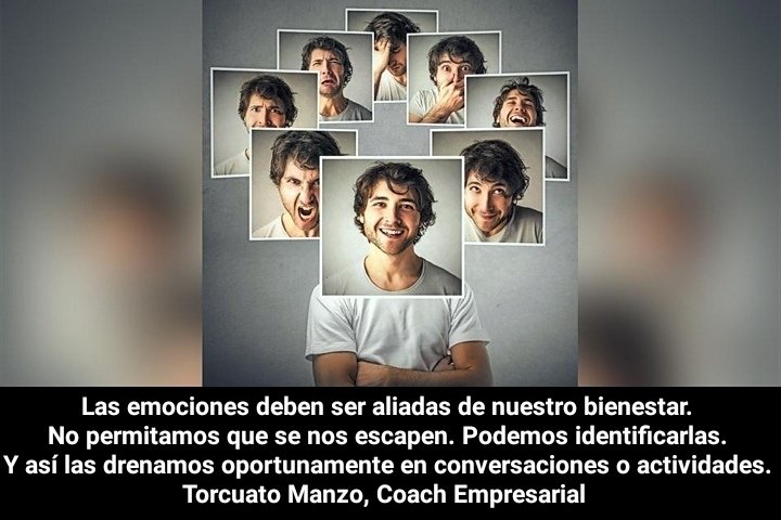TorcuatoCoach's tweet photo. Para gestionar nuestras emociones debemos tomar conciencia de ellas.
#GestionEmocional #Coaching #CoachingEmpresarial #LifeCoaching https://t.co/rgxeUL3Xtg