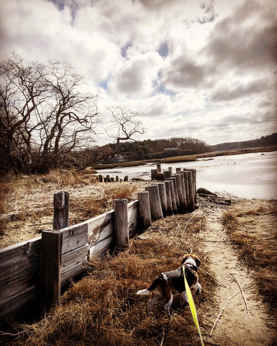 Lucy Kaplansky tweet media