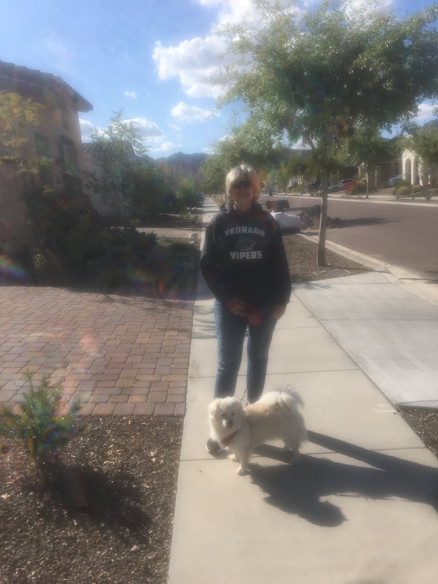 SKABOB23's tweet photo. Spirit day 5 @1verrado #viperspirit #virtualvipers #spreadyourmagic Great week this week! https://t.co/mwcnTep3uG