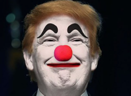 EcoEthicalToner's tweet photo. @JoshuaPotash he really is the clown that just keeps giving, I am so pleased he lives at your side of the pond #absoluteliability https://t.co/iCWbU0XSD9