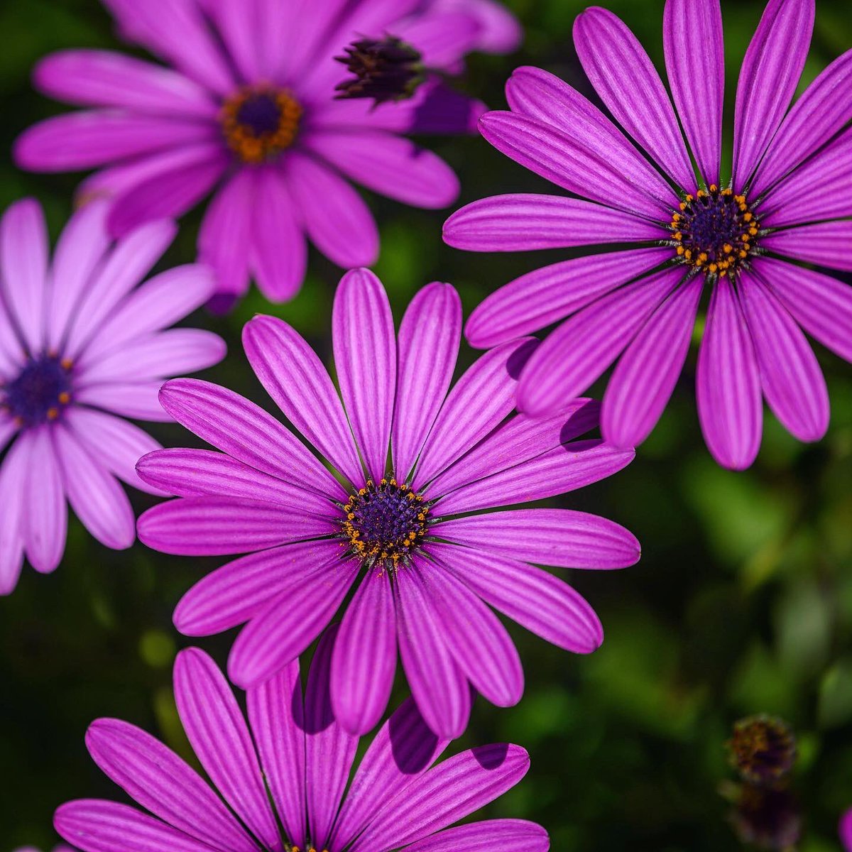 Jason Halley tweet media