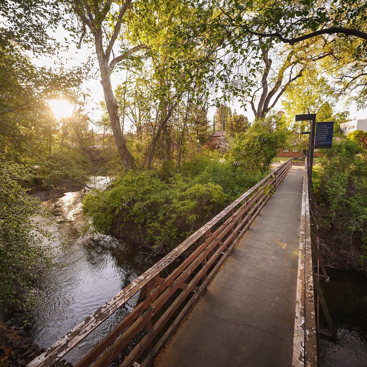 Jason Halley tweet media