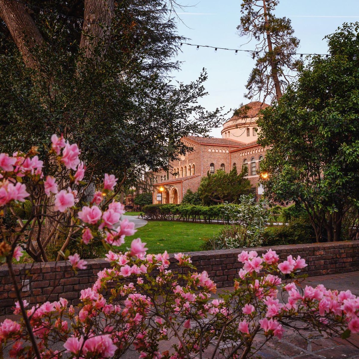 Jason Halley tweet media