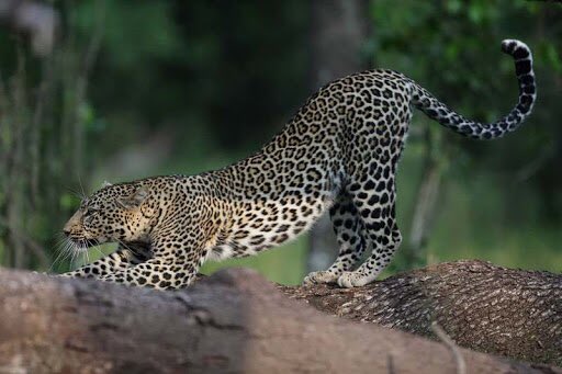 Gratuit Images Qbvve6iv6blusm le plus cool par