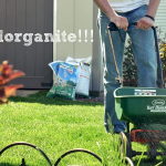 Image for the Tweet beginning: How Long Does Milorganite Take