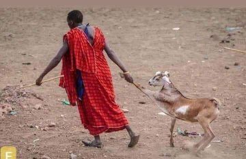 Omachi_X's tweet photo. The past 24 hours on Twitter in summary.

#Covik1_9virus - #FakeImam - TB Joshua https://t.co/yAlWIDXGnB