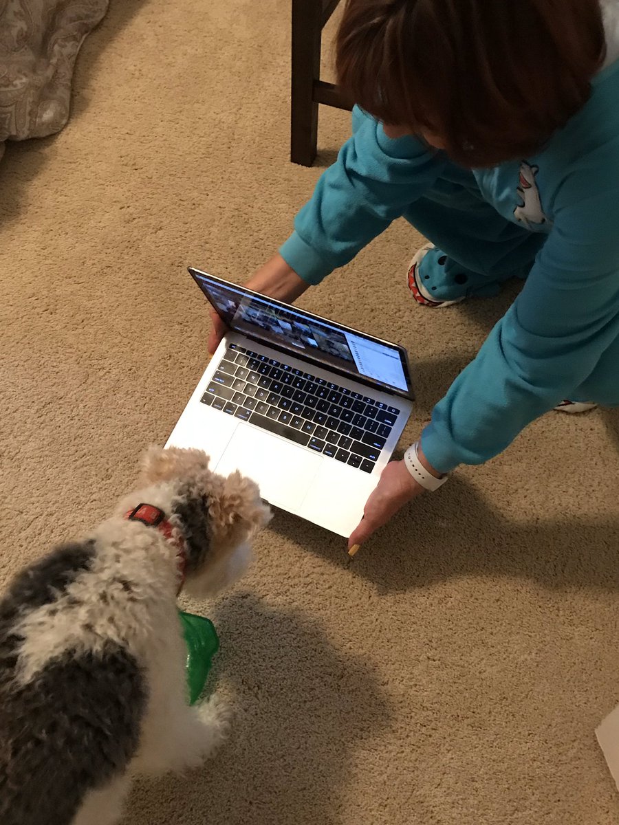 It’s Pajamaorama!  What’s Pajamaorama?  A great reward time earned by good effort in our Zoom class meeting and Google Classroom work.  Now we can enjoy fun and friends together while Safer at Home!  We are still a class....better together!  @vanaldensocial <a href="/ALausd/">AAdamsLAUSD</a>