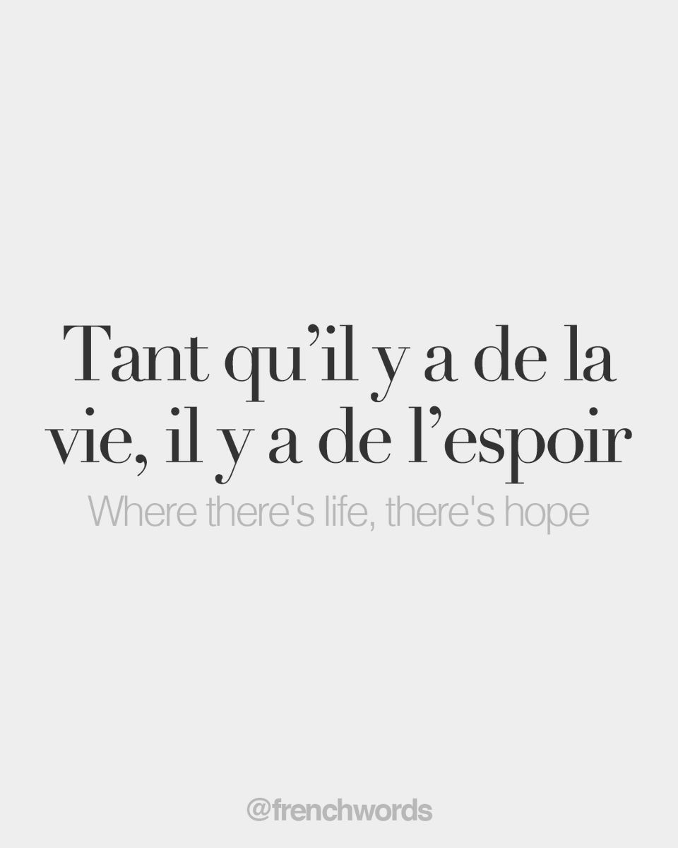 JuanVertizxx's tweet photo. Tant qu'il y a de la vie, il y a de l'espoir • Where there's life, there's hope • /tɑ̃ k‿il j‿a də la vi il j‿a də l‿ɛs.pwaʁ/ https://t.co/fgr7LXUBHa