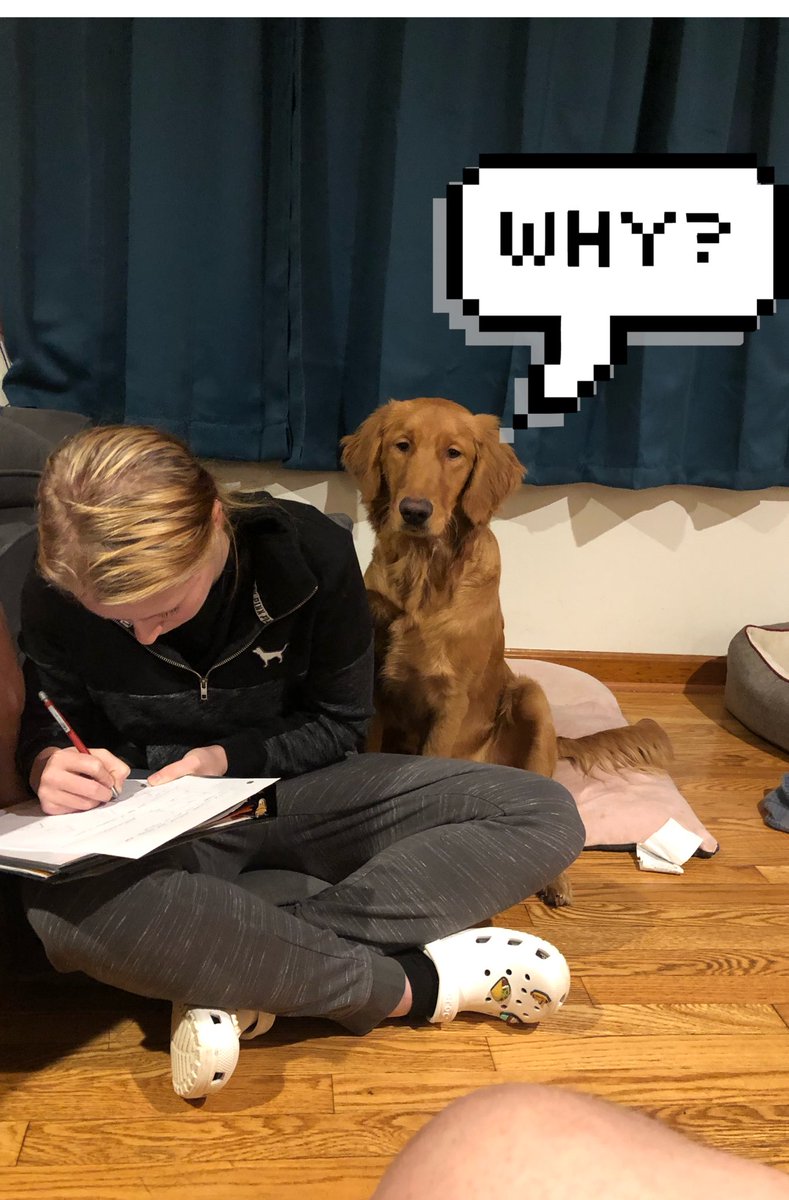 My dog is helping me with my homework!!!! 
⁦<a href="/EHS_Softball1/">Edison HS Softball</a>⁩ ⁦<a href="/Edison_HS/">Edison High, NJ</a>⁩ ⁦<a href="/edisonhighstuco/">EHS Student Council</a>⁩ #smartassdog #pebbles