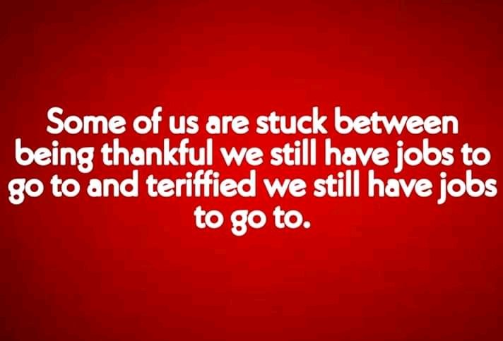sonikc18's tweet photo. True https://t.co/vezZpKL2J7