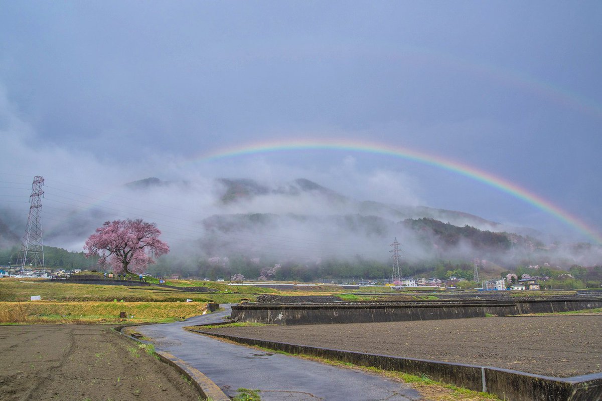 Hitoshi Naitou ワニ塚の桜 3 28 雨上がり虹がかかりました ワニ塚の桜 虹