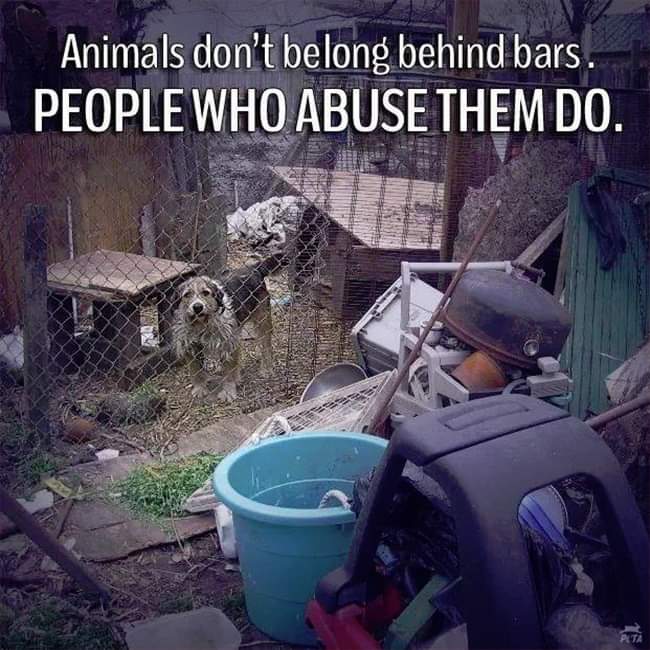AmyRoseKathryn's tweet photo. Well said. https://t.co/p3A1RIk5YO