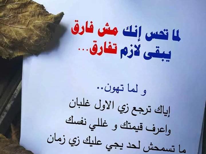 Tefa El Henawey tweet media