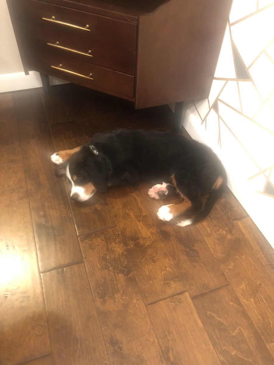 Lauren Gentene tweet media