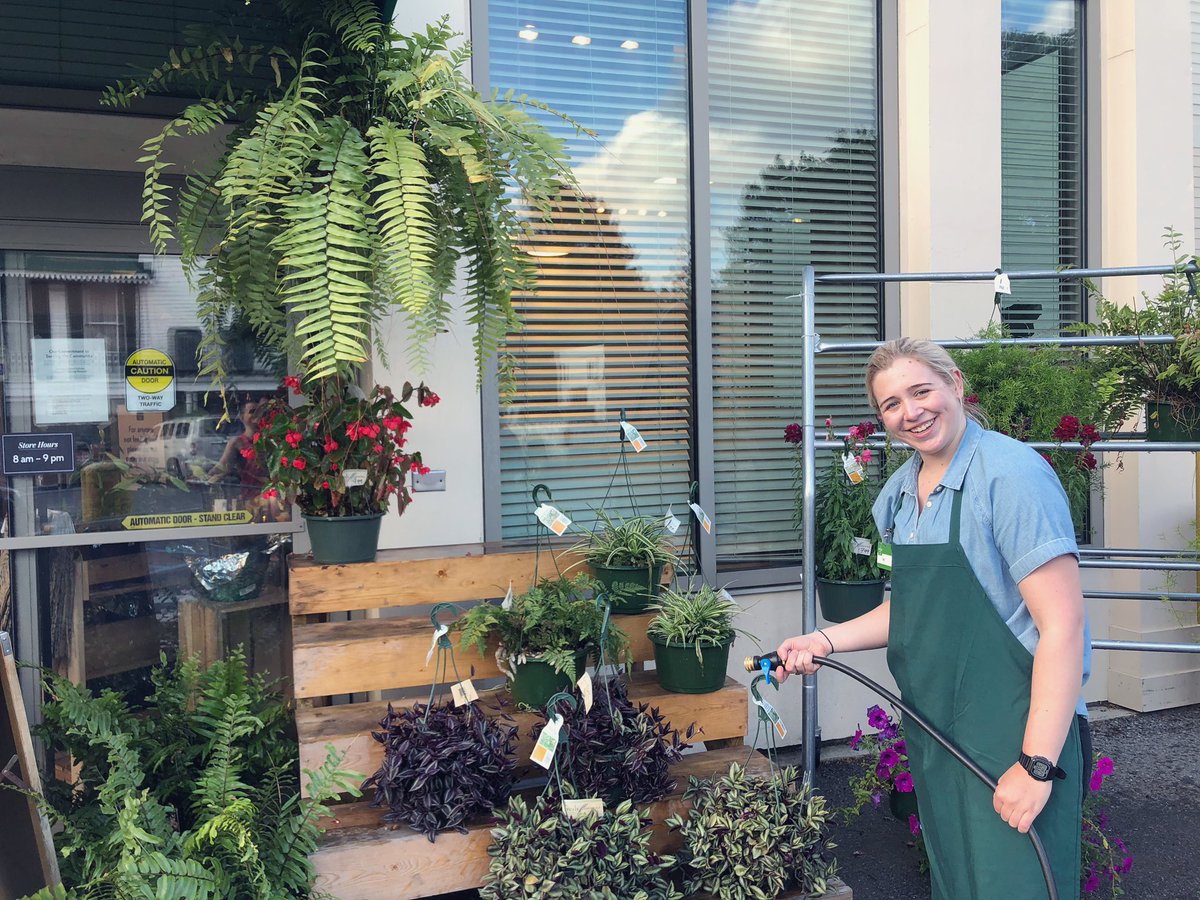 A bit of positivity for your feed: in the midst of temporary unemployment I was hired by The Fresh Market and now I get to work with great people and I am over coffee, candy, and flowers - there is still a light in the darkness!! ☕️ 🍬 🌸 ❤️