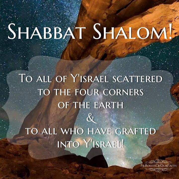 🌼Andrea אהבה (Love)🌼 on X: 🌿🌼 Shabbat #Shalom