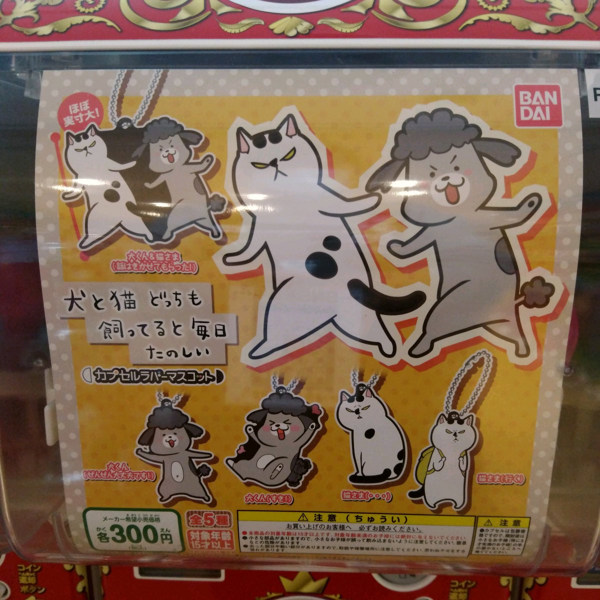 ガチャ王国広島店 A Twitter 新商品入荷 バンダイ ガシャどこ Plus対応 犬と猫どっちも飼ってると毎日たのしい ガチャ ガチャガチャ Hiroshima 本通 広島 犬と猫どっちも飼ってると毎日たのしい